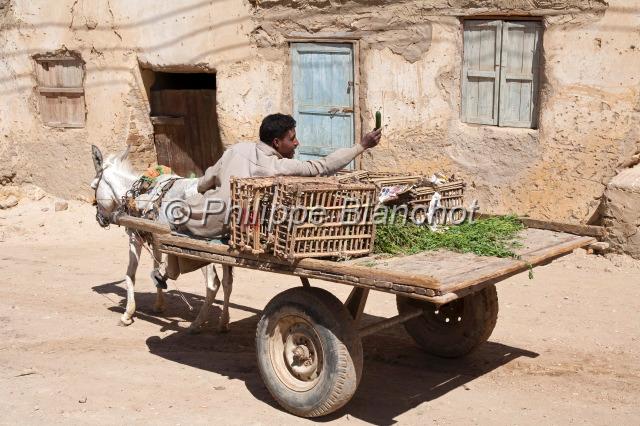 egypte desert libyque 14.JPG - Vendeur de légumes à BahareyaDésert libyque, Egypte